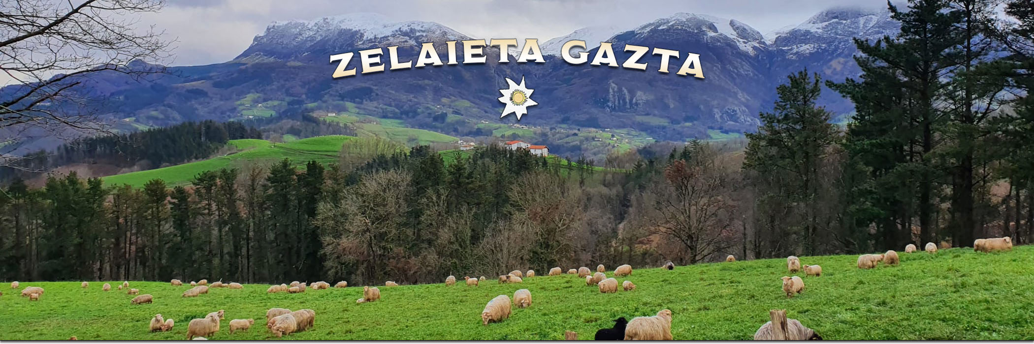 Zelaieta Gaztak - Queso de Denominación de Origen Idiazabal y Artzai Gazta, en Orendain (Gipuzkoa)